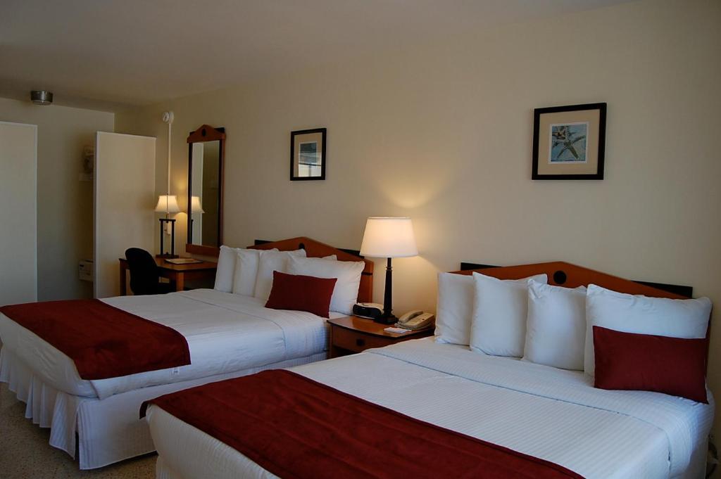Alcazar Resort- Gay Mens Resort Форт Лодърдейл Стая снимка
